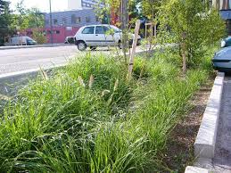 Http Www Eranthis Eu Fr Projet Agence Eranthis Architecte Paysagiste Lyon Projets Amenagements Urbains Erant Paysagiste Lyon Architecte Paysagiste Paysagiste