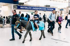 And affiliated banks, members fdic and wholly owned subsidiaries of bank of america corporation. Merlin Entertainments To Offer Talking Donkey Rides On The South Bank