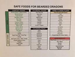 Weekly bearded dragon food chart. Feeding Schedule Our Reptile Forum