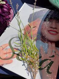 Sova Design Millinery & Apparel