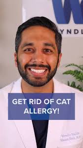 Reply to @quinnmariakohut How I defeated my cat allergy #catsoftiktok ...