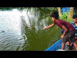 Check spelling or type a new query. Best Fishing Video Fishing By Hook Part 19 Youtube Fishing Videos Best Fishing Kids Fishing