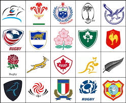 By what name are the south africa national rugby union team commonly known? Click The 2019 Rugby World Cup Logos Quiz By Noldeh
