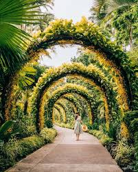 Cool Free Things To Do In Singapore Travel In Our Eyes Singapore Garden Singapore Botanic Gardens Landscape Design