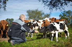Import of food for personal use; Hva Har Jeg Rett Til Nar Mattilsynet Kommer Pa Uanmeldt Tilsyn Gront Fagsenter