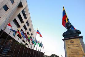 Image result for Justicia incana