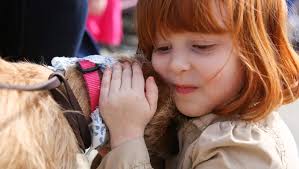 North Shore Animal League America's Tour For Life