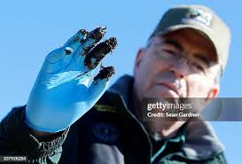 91 Louisiana Department Of Wildlife Fisheries Stock Photos, High-Res  Pictures, and Images