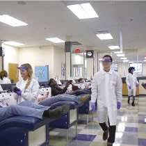 How to earn top dollar as a phlebotomist. Csl Plasma Phlebotomist Salaries Glassdoor