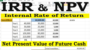 Calculate Financial Formula Irr And Npv In Excel By Learning Center In U In 2020 Learning Centers Excel Tutorials Excel