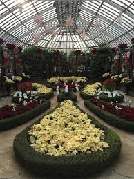 9 Things You Should Know Before You Visit Phipps Conservatory And Botanical Garden In Pittsburgh Botanical Gardens Botanical Garden Photos