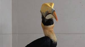 Creature Comforts 10 Ways 3d Printing Helped Animals This Year 3dprint Com The Voice Of 3d Printing Additive M Animal Articles Animals Creature Comforts