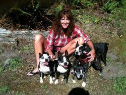 Boston Terrier Rescue of Western Washington