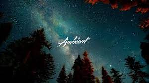 Check spelling or type a new query. Wide Waters And Into The Forest I Go To Lose My Mind And Find My Soul Youtube