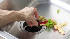 We did not find results for: What S Wrong With My Garbage Disposal Ben Franklin Plumbing
