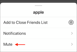 Use the search bar to find the account quickly. How To Mute Someone On Instagram