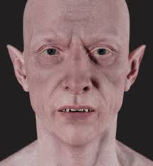 Daniel Nehring Daniel Nehring Anatomy/3D Anatomy