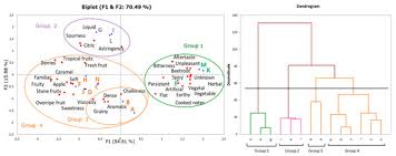 Foods Special Issue Flavor And Aroma Analysis As A Tool For Quality Control Of Foods