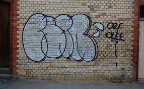 You can also use a nylon brush to scrub off the debris. Graffiti Guard Net