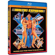 Amazon.com: Hard Ticket to Hawaii : Ronn Moss, Dona Speir, Hope Marie  Carlton, Andy Sidaris: Movies & TV