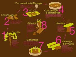 Fabrication Du Chocolat Fabrication Du Chocolat Fabrication Chocolat Histoire Du Chocolat