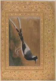 7 Abu L Hasan Spotted Forktail Folio From The Shah Jahan Album Ca 1610 15 Metropolitan Museum New York Tezhip Sanat Sanatcilar