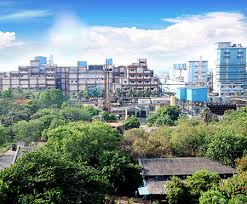 Music was composed by vasant desai with lyrics by shams lucknavi, who also wrote the story and dialogues. Srf Journey Srf