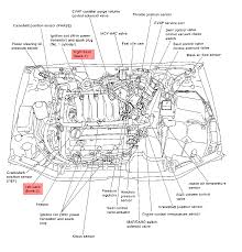 Location on starter for 2001 sentra se 2.0 liter engine. Diagram 2001 Nissan Maxima Starter Wiring Diagram Full Version Hd Quality Wiring Diagram Diagramcocoz Rome Hotels It