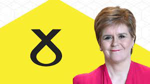 Each snp represents a difference in a single dna. Scottish Election 2021 A Simple Guide To The Snp Bbc News