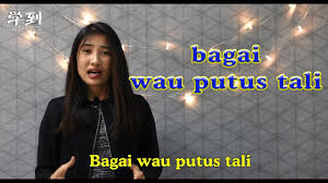 Bagai itik pulang petang =sangat lambat (jalannya). Upsr Bm Bagai Itik Pulang Petang å­¦åˆ° Angelia Youtube