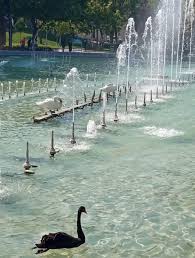 File:İmg.jpg4.jpg - Wikimedia Commons