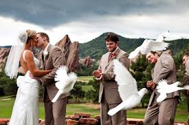6 to 30 characters long; The Best And Only Wedding Photojournalism Contests Are Hosted By The Wpja