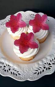 Edible Wafer Paper Flat Fuchsia Azalea Flower Cake Cupcake Cookie Toppers Set Of 12 By Sugarbutterflies On Etsy Wafer Paper Cake Flower Cake