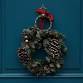 Home for the Holidays 2024