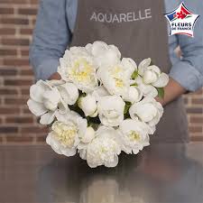 Selection guide of items for delivery in europe only. Send Flowers To Germany Online Flower Delivery Aquarelle