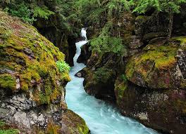 The trail of the cedars, forest and fire, hidden lake, running eagle falls, and swiftcurrent nature trails encourage hikers to experience glacier national park at their own pace. Avalanche Gorge Montana