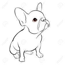 Bulldogge Hund Tier Franzosisch Vektor Illustration Haustier Zucht Niedlich Zeichnen Welpe Lizenzfrei Nutzbare Vektorgrafiken Clip Arts Illustrationen Image 74774900
