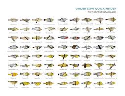 Downloadable Quick Finders From The Warbler Guide Underview