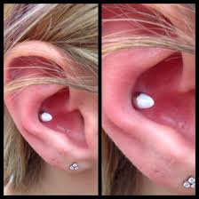 inner conch piercing with a white opal bullet from anatometal inner conch piercing conch piercing anatometal
