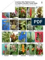 Asmus gl, andrade pjm, 1997. Plantas De Galapagos Endemicas