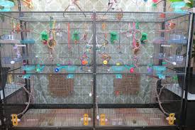 Bird Bath For Budgie Cage Budgie Cage Setup Budgie Cage Budgies Cockatiel Cage