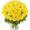 Share your love and romance with beautiful fresh cut flowers! Https Encrypted Tbn0 Gstatic Com Images Q Tbn And9gcqtecfqa Ug8s9unwqwmtdyrz7xjf Kspx4gxq 5py3ciz4x38b Usqp Cau