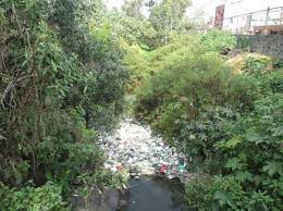 Diagnóstico urbano ambiental para determinar el grado de perturbación del  Canal de Chalco desde la calle Nimes de la delegaci