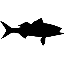 Download Fish Silhouette Svg Vectors And Icons Svg Repo