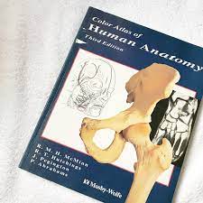 This 6th edition of anatomy: Color Atlas Of Human Anatomy Third Edition By Mosby Depop