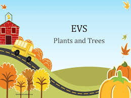 Here are four flowers that grow on tree trunks, completing the unpredictable show of nature. Environmental Science Evs Plants Class Ii