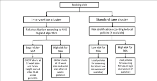 Diagram Of Individual Management Within Participating