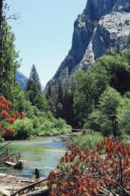 Check spelling or type a new query. Top Things To Do In Kings Canyon National Park Tanama Tales