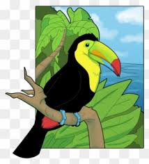 Check spelling or type a new query. Keel Billed Toucan Coloring Page Toucan Drawing Free Transparent Png Clipart Images Download