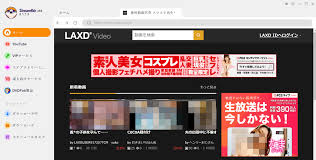 無料アダルト動画視聴サイト・LAXDから動画をダウンロードする方法4選